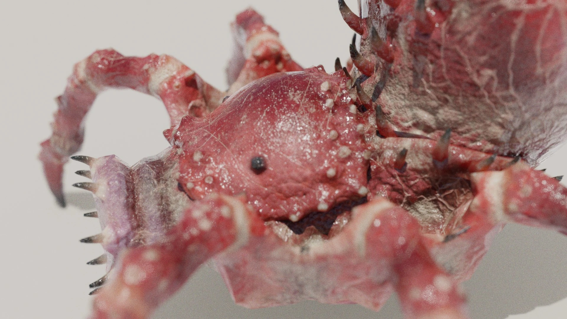 Arachnirock Rigged Spider Monster 3D Model by Leo Blanchette