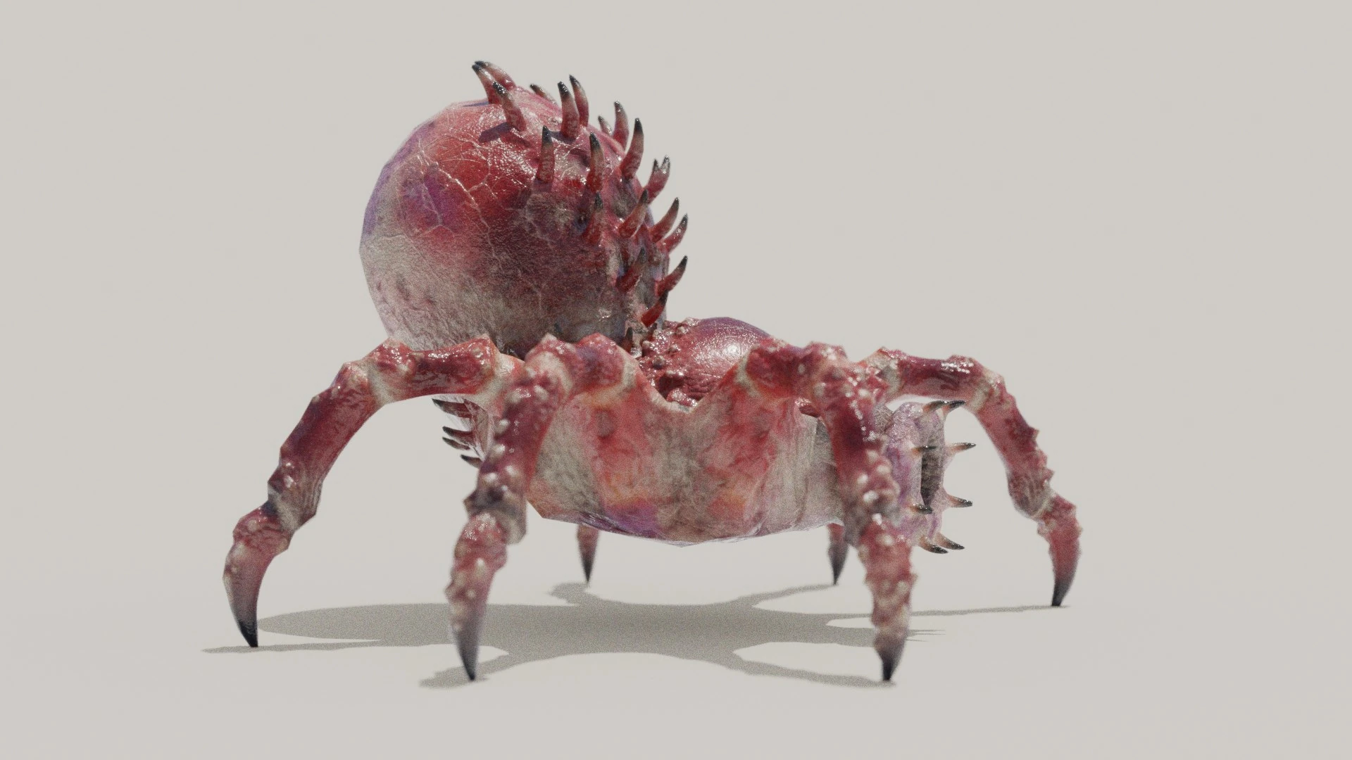 Rear view of Arachnirock showing abdomen spines and detailed leg anatomy