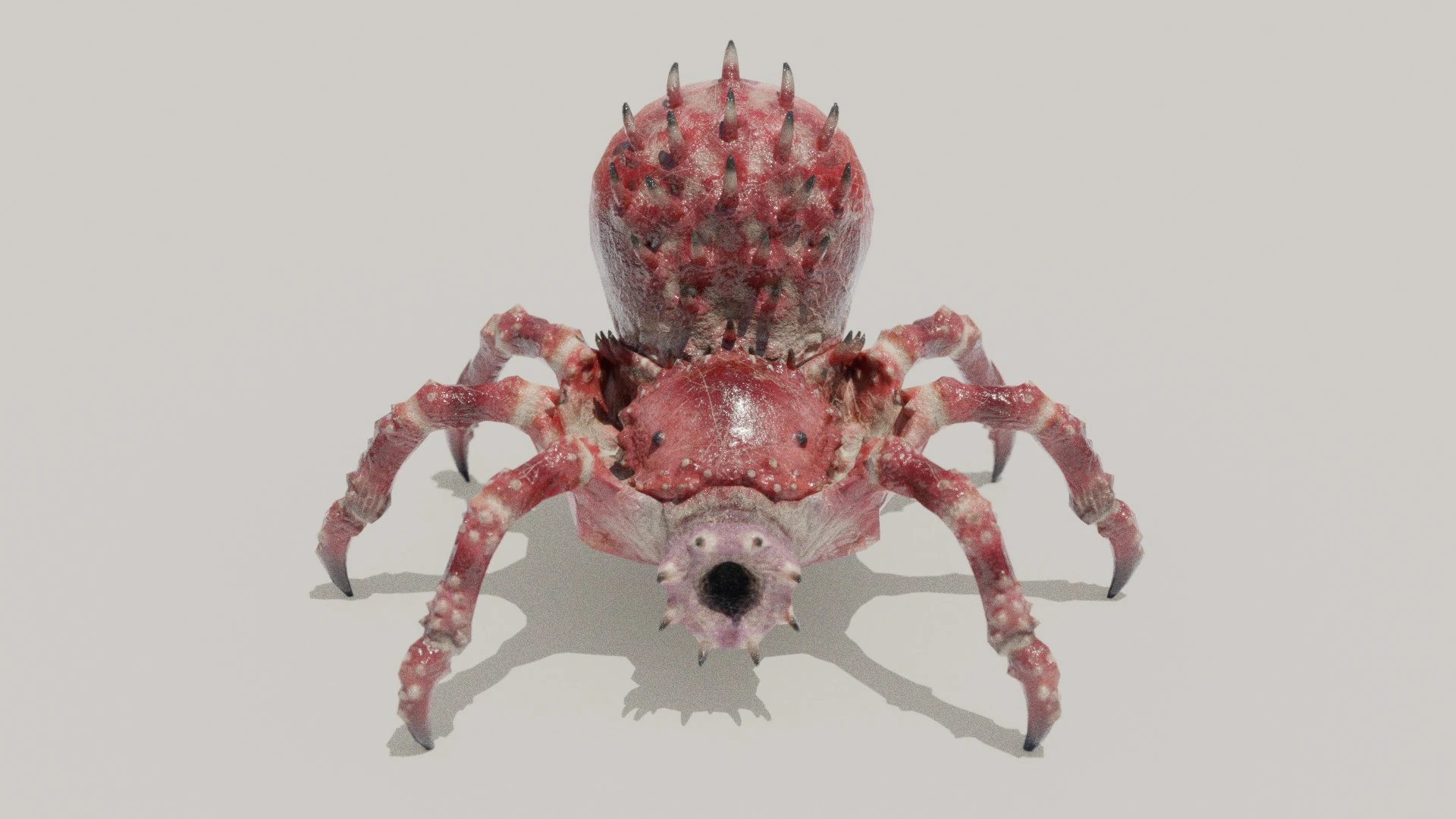 Front view of Arachnirock spider creature showing symmetrical leg arrangement and mouth opening