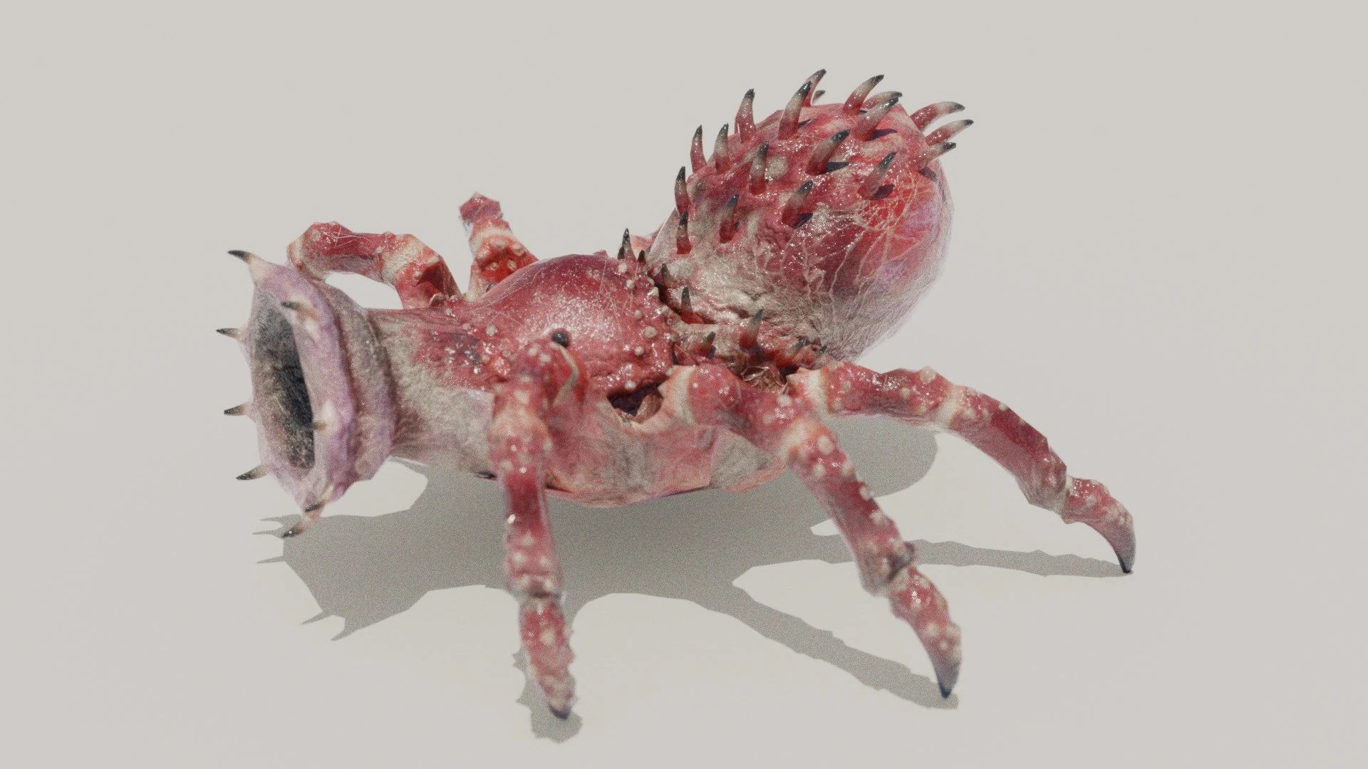 Side perspective of Arachnirock highlighting open snout and red carapace surface