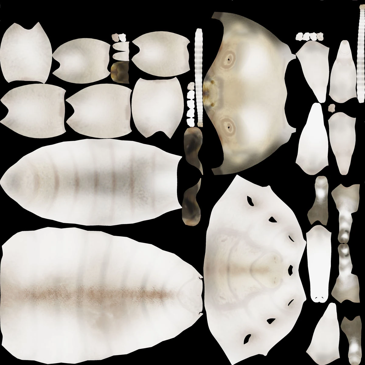 color texture preview