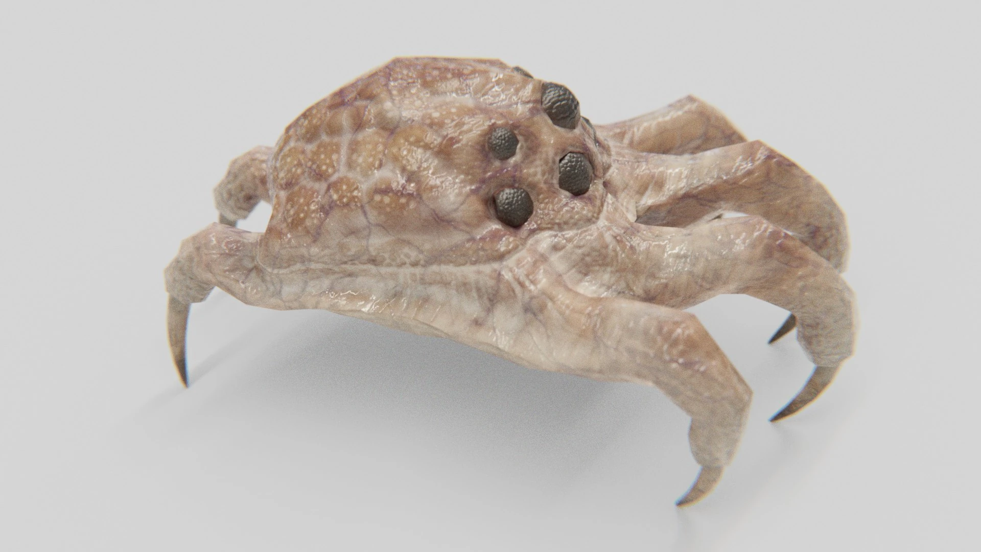Preview 1 of Kranion creature model.