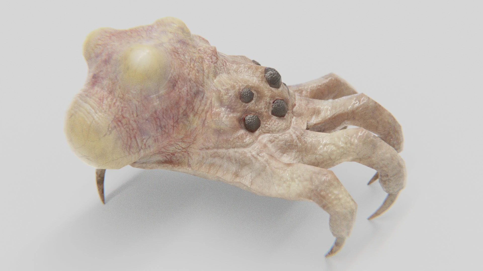 Preview 3 of Kranion creature model.