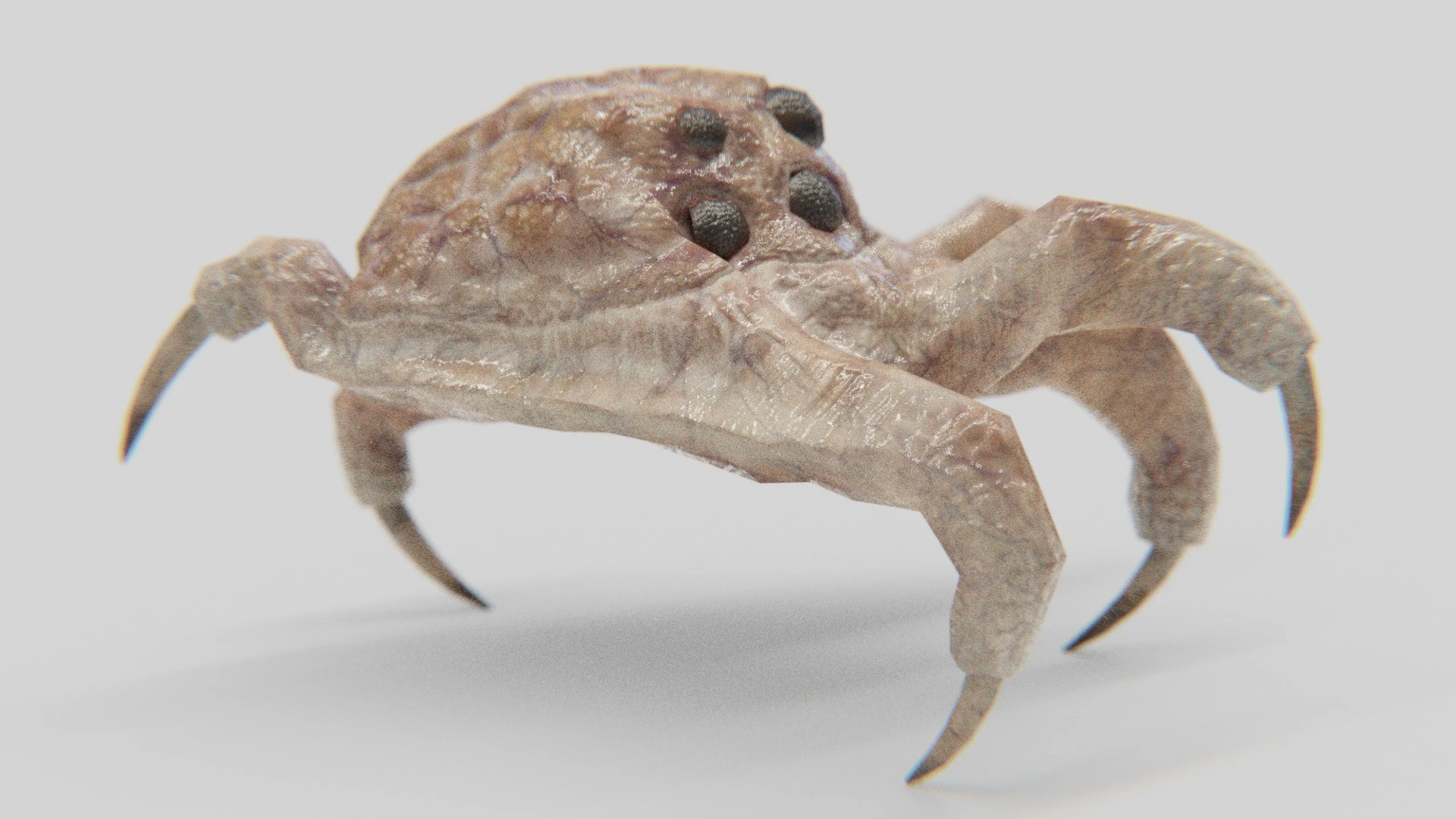 Preview 9 of Kranion creature model.