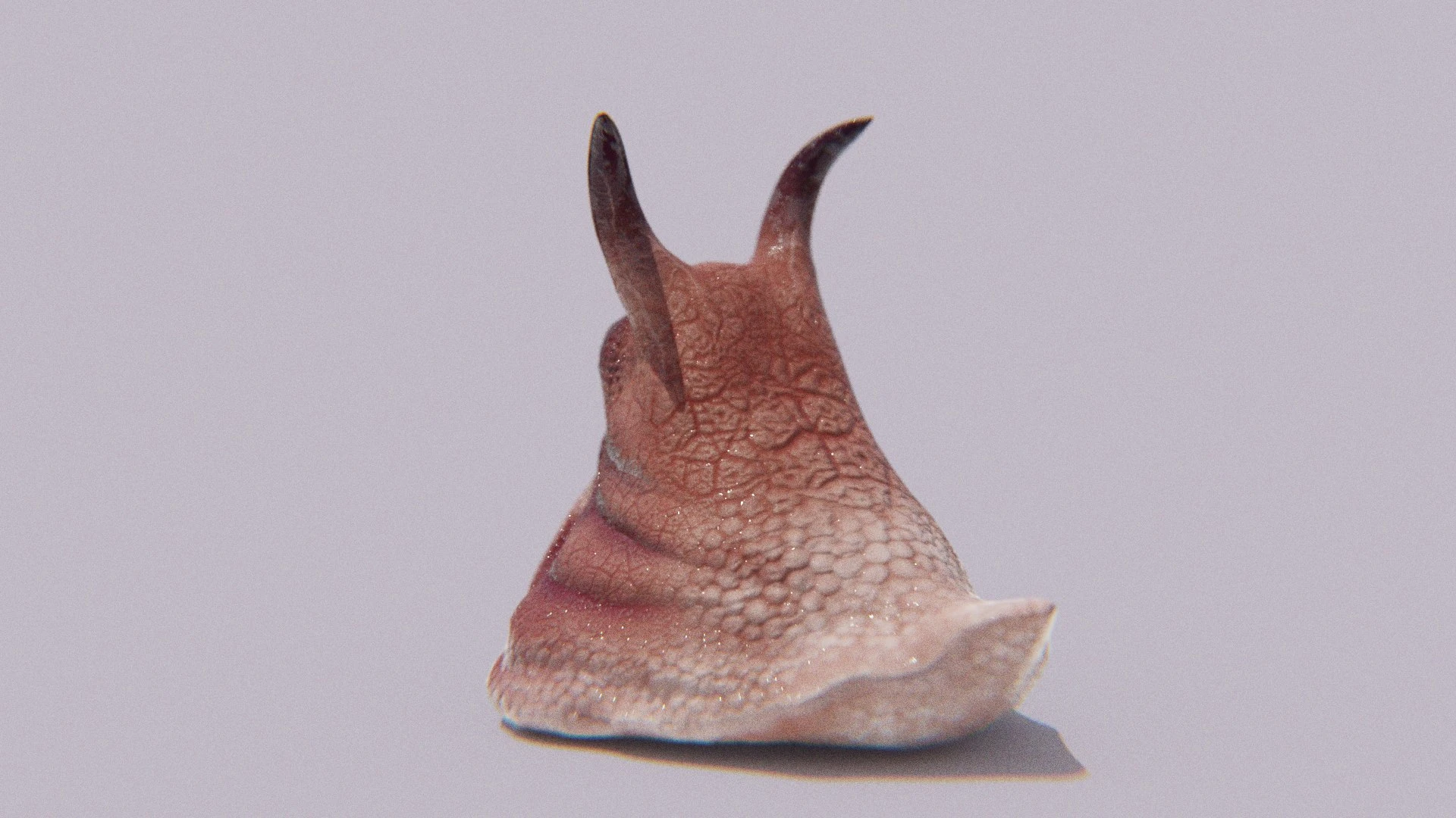 Rear view render of the Sluggor monster revealing the sculpted folds of its slug-like back and the fine hexagonal skin detail that gives the model its lifelike, gelatinous appearance.