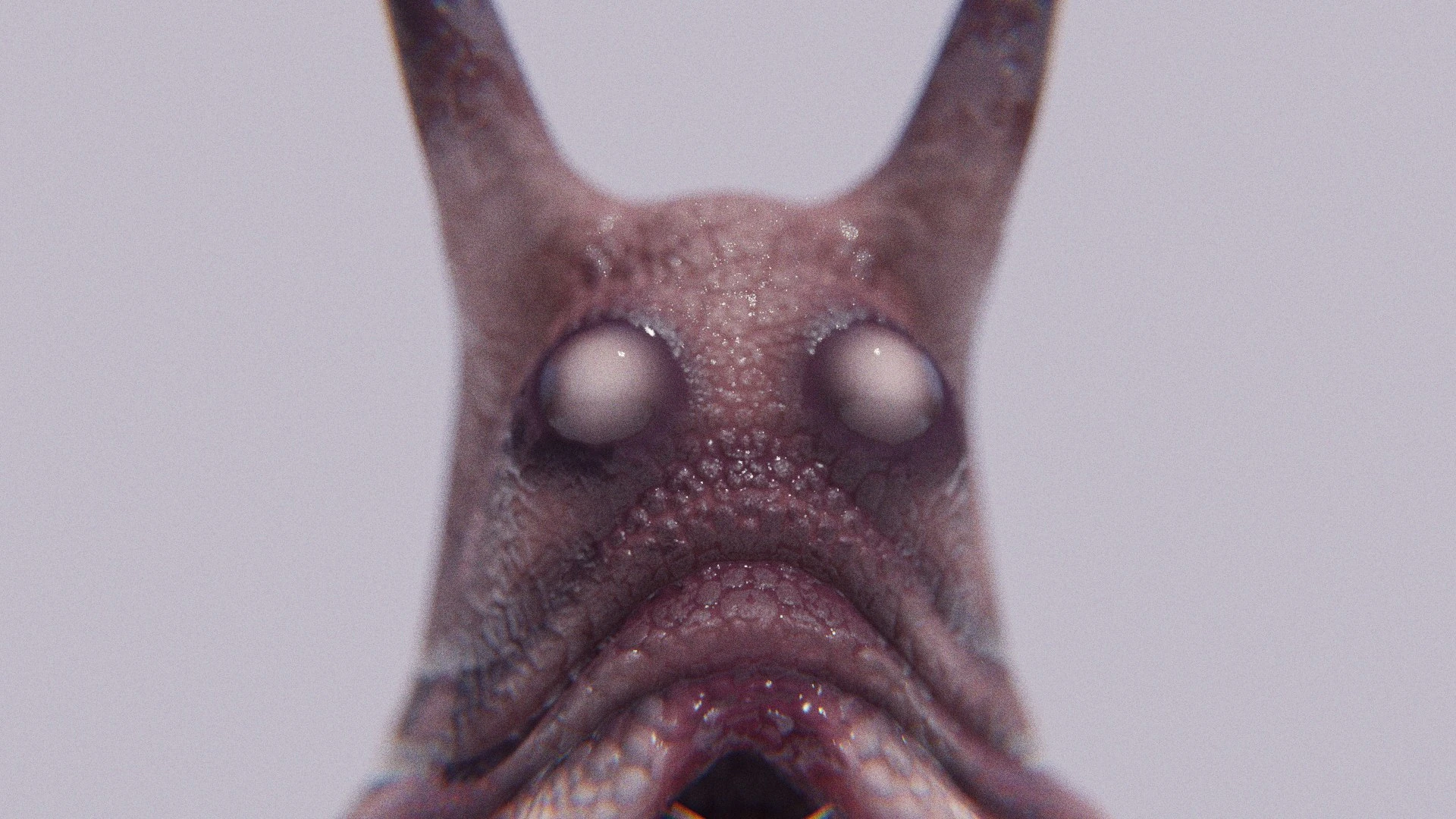 Close-up frontal render of the Sluggor 3D creature highlighting its bulbous eyes, layered skin surface, and pore-level microdetail that captures the realism of wet organic material.