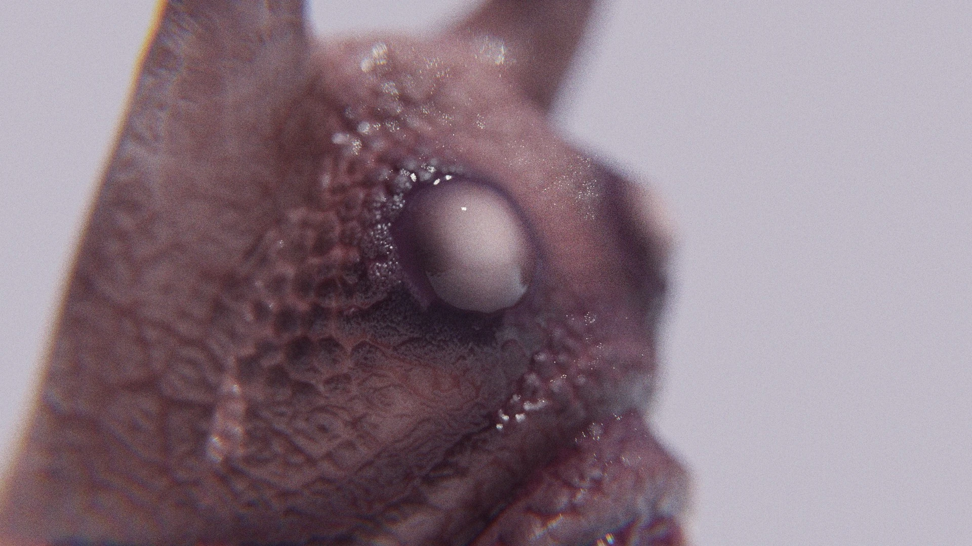 Extreme close-up of the Sluggor’s horn and eye surface, showing the reflective wet shader, skin bump microstructure, and subtle specular bloom that enhances its eerie photorealistic look.