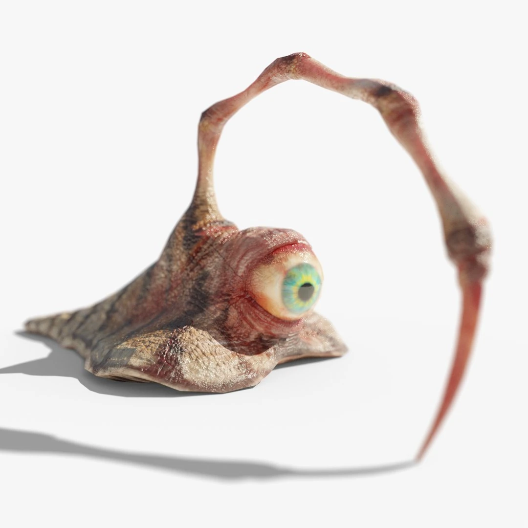 Spine Eyeball Slug Monster 3D model with single large eye and curved stinger.