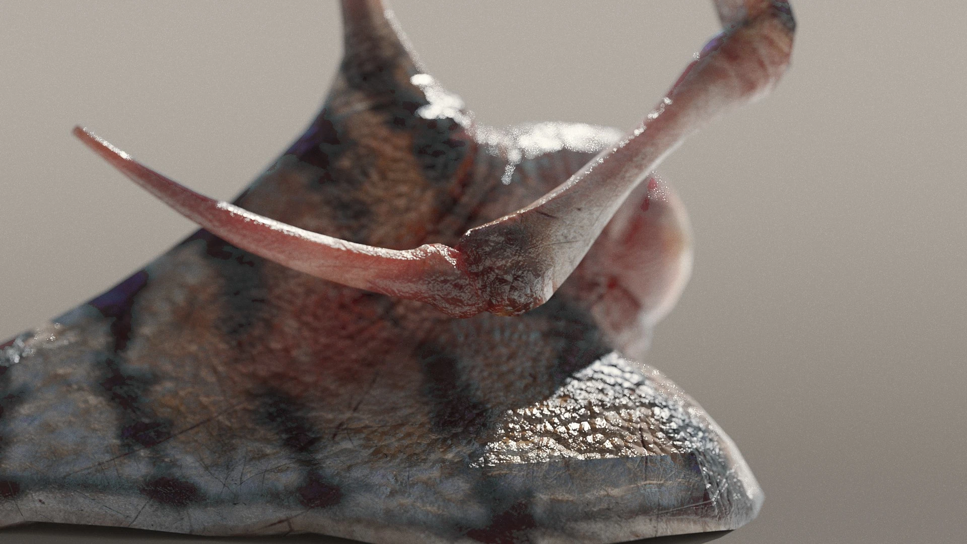 Front view of Eyeball Slug creature displaying inverse kinematics rig and detailed organic shading in Blender Cycles