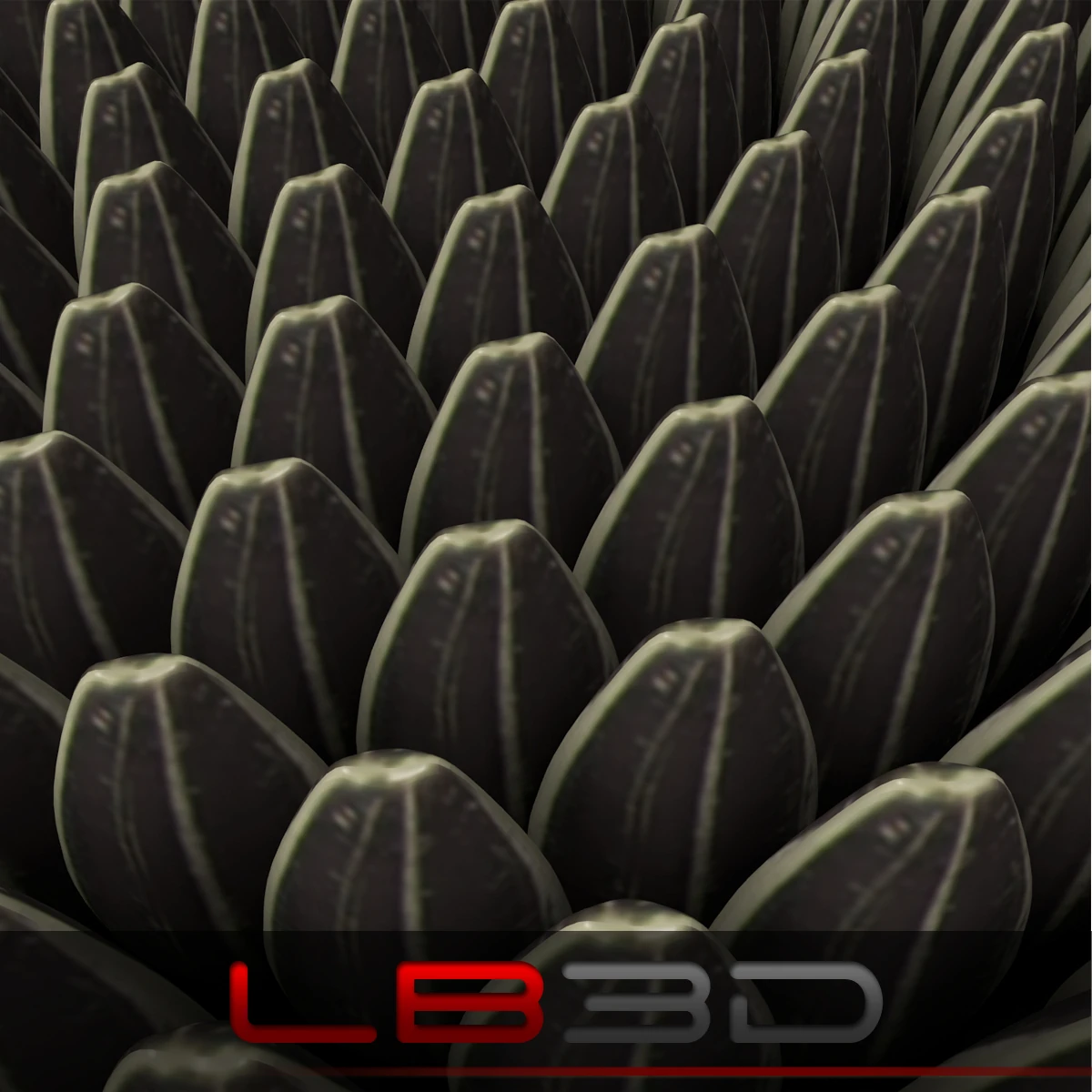 sunflower main preview