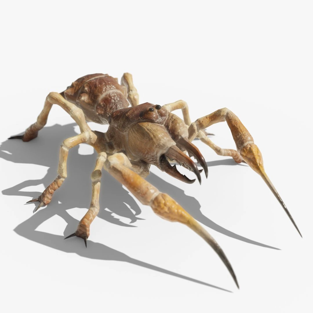 Sunspider Solifugae Camel Spider Monster 3D Model by Leo Blanchette rendered in Blender Cycles