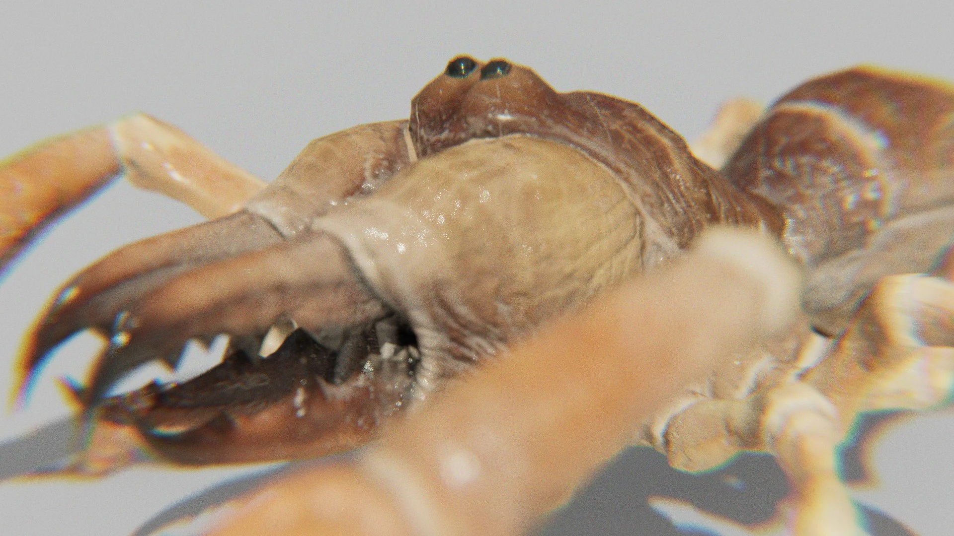 Extreme close-up of the Sunspider’s head and mandibles, focusing on gloss and material realism