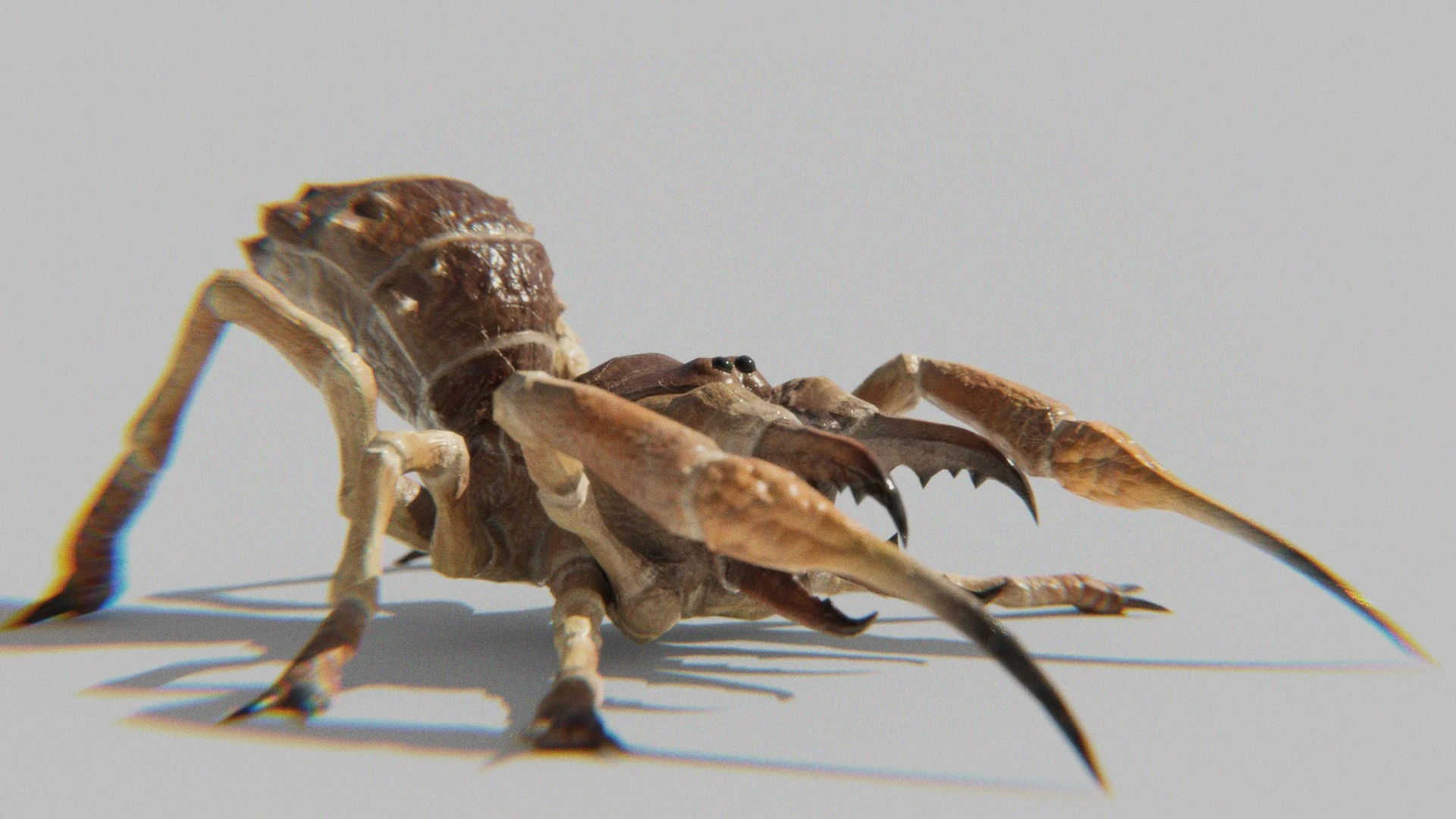 Low-angle render of the Sunspider 3D model crawling forward, highlighting its realistic lighting and shadow detail