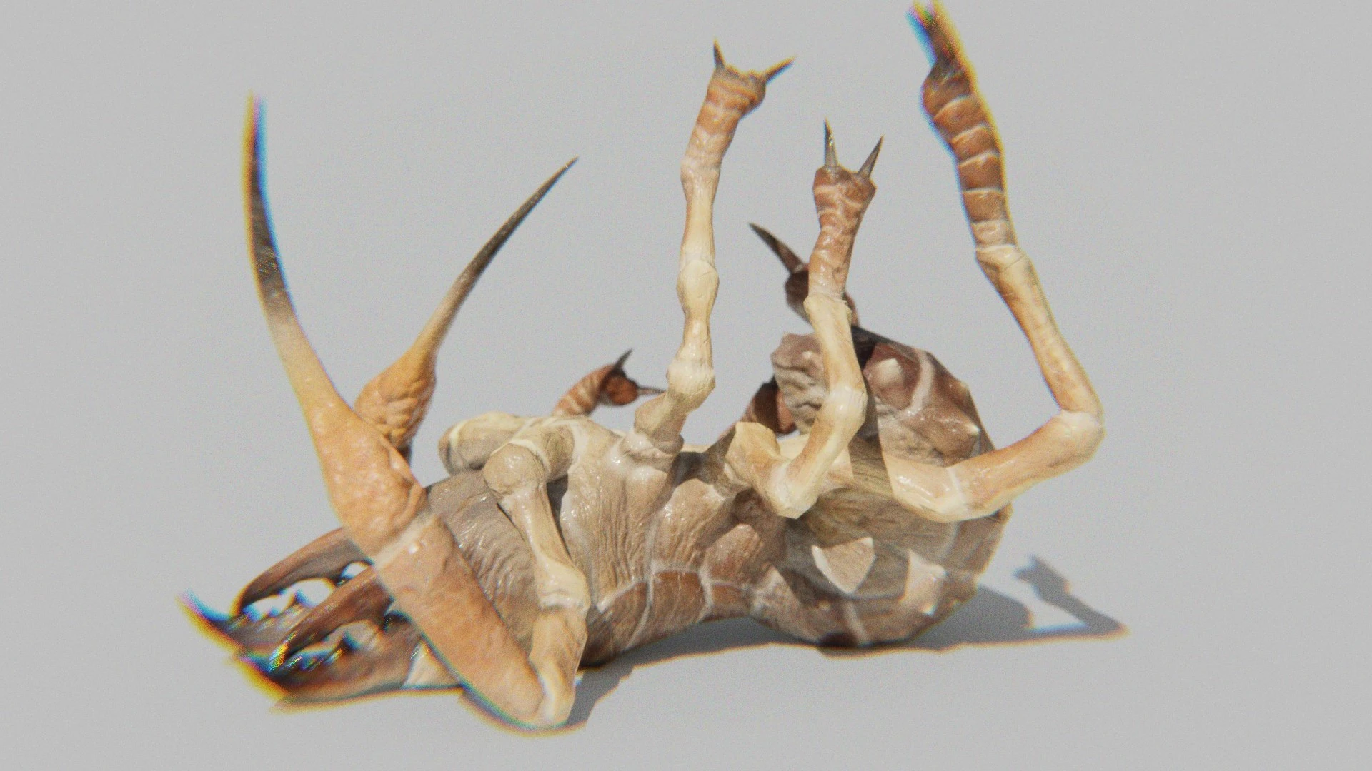 Upside-down view of the Sunspider model showing its underside anatomy and limb rigging detail