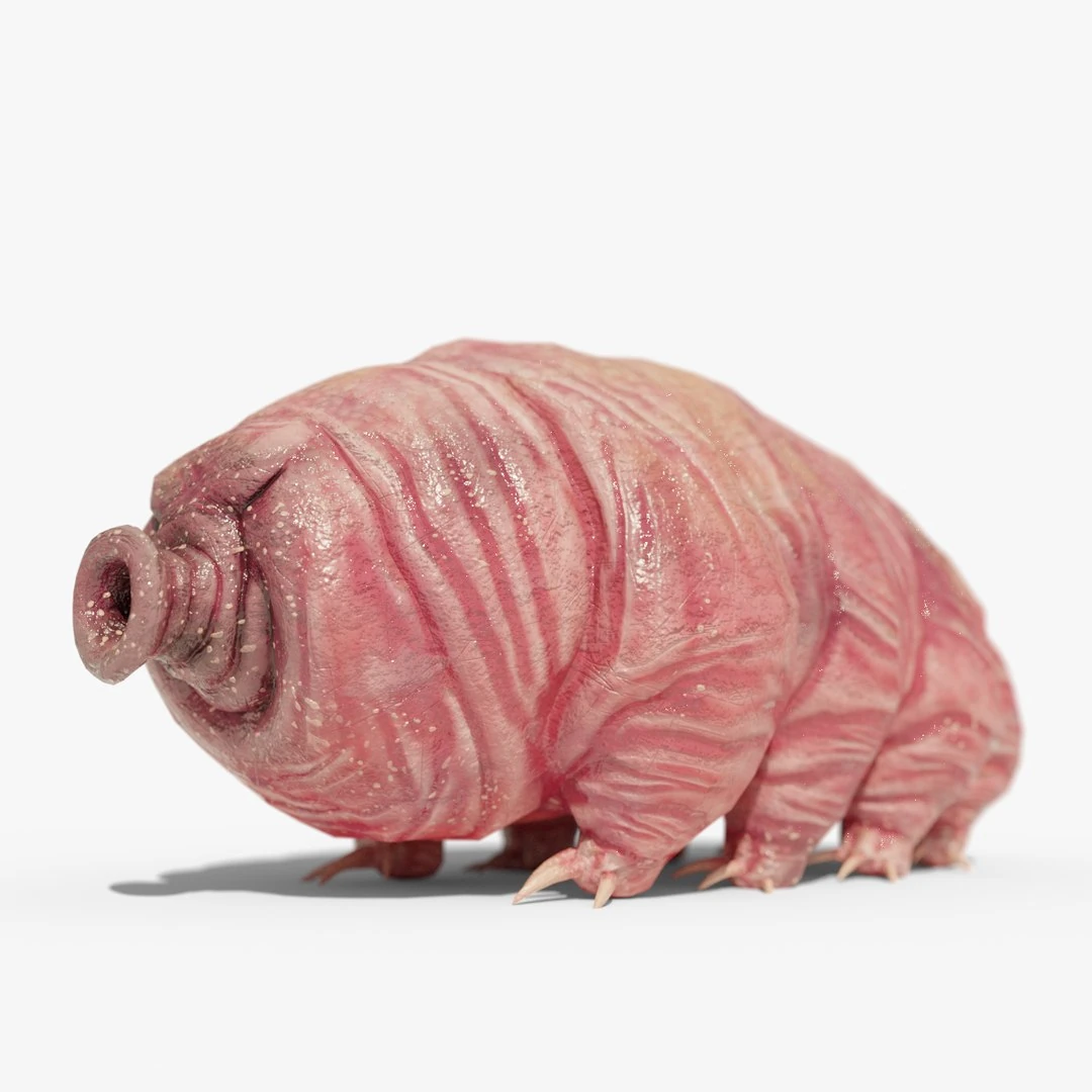 Tardigrade waterbear creature with pink and green skin rendered in Blender Cycles.