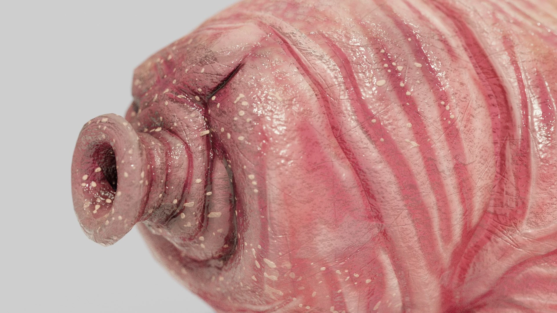 Alternate mossy Tardigrade skin variant demonstrating hybrid color and subsurface scattering