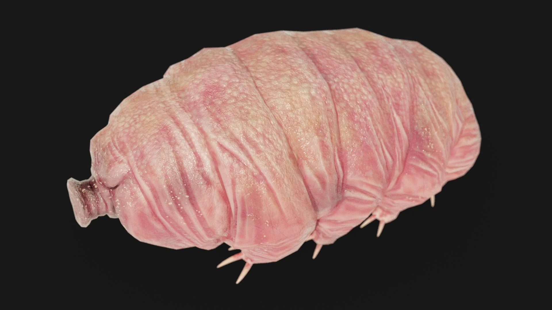 Extreme close-up of Tardigrade snout and skin pores rendered at high detail for material accuracy