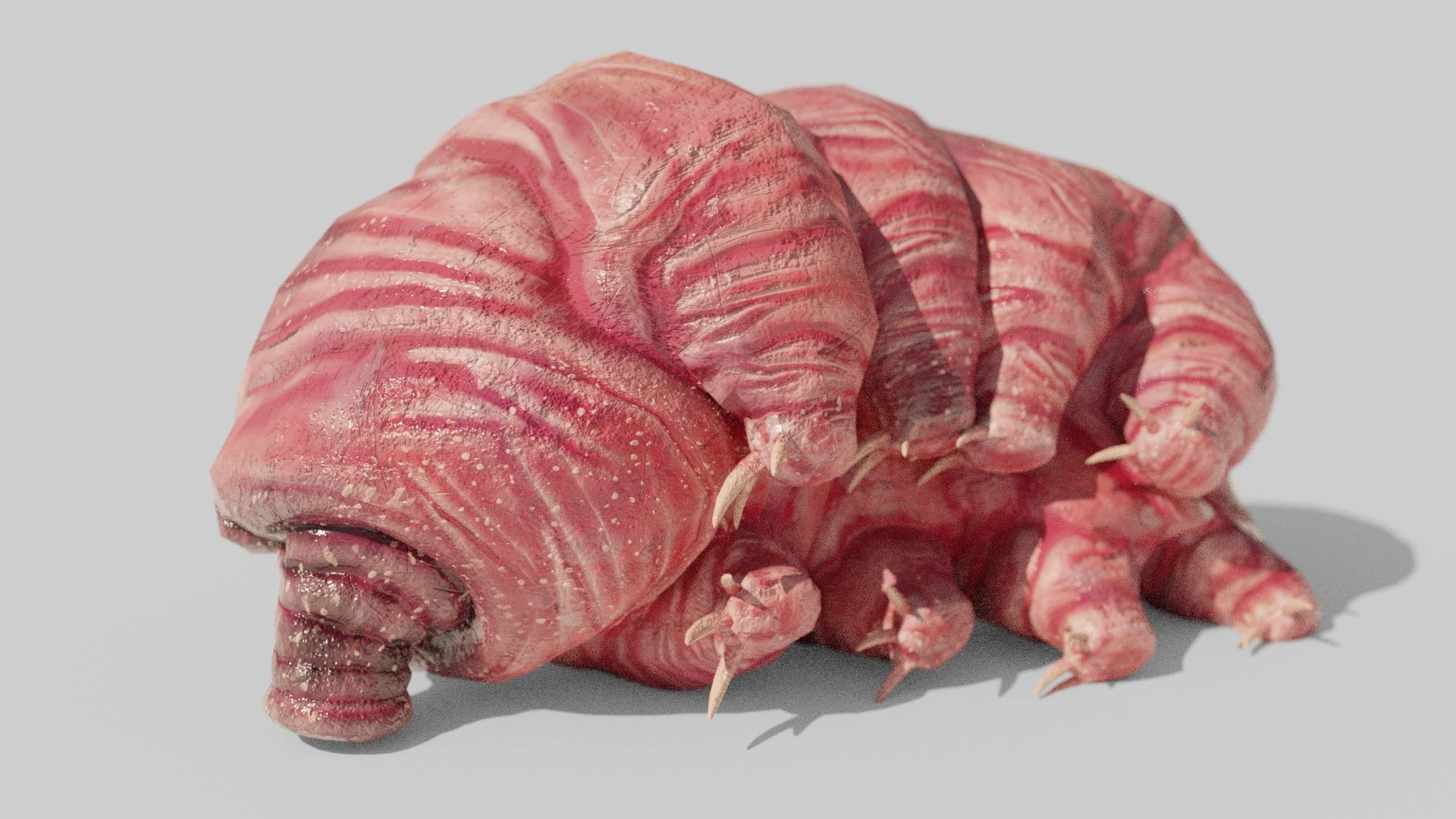 Top view of stylized Tardigrade model showing skin topology and subtle displacement detail