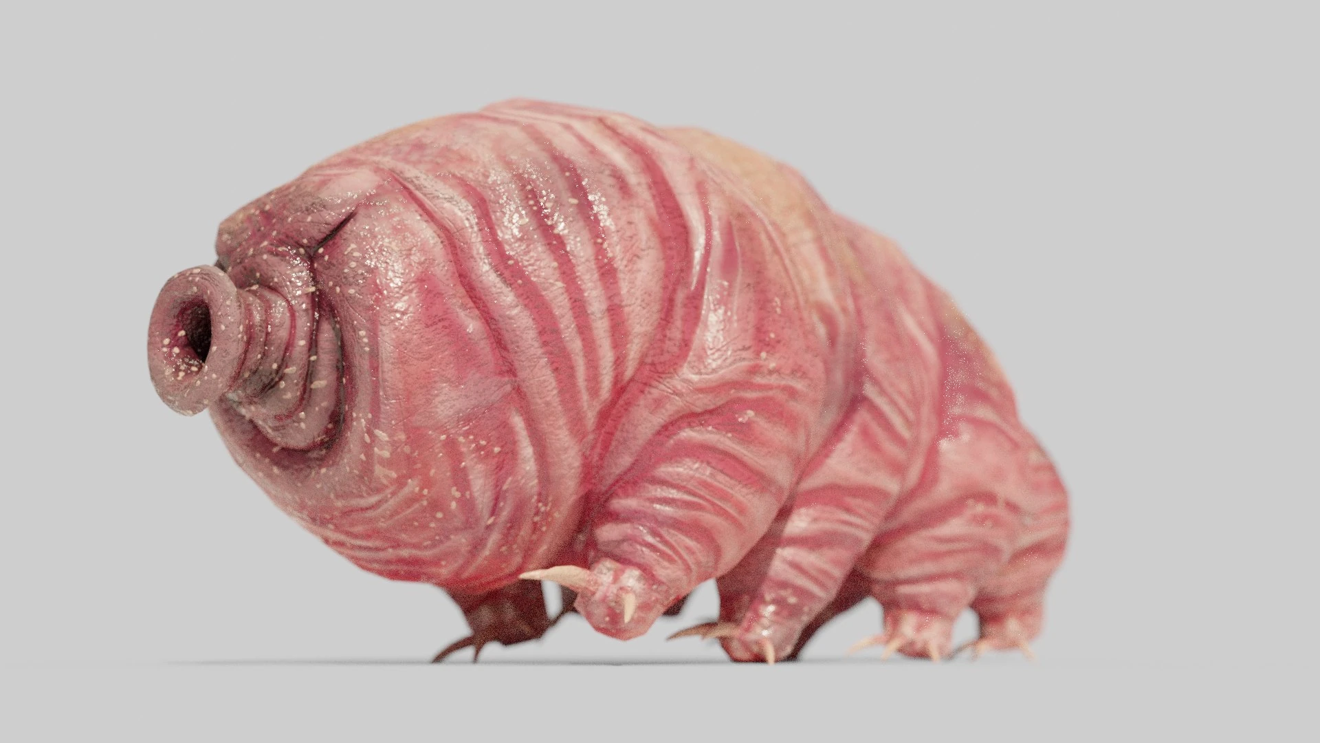 Rear three-quarter view of Waterbear creature emphasizing leg rigging and shadow realism