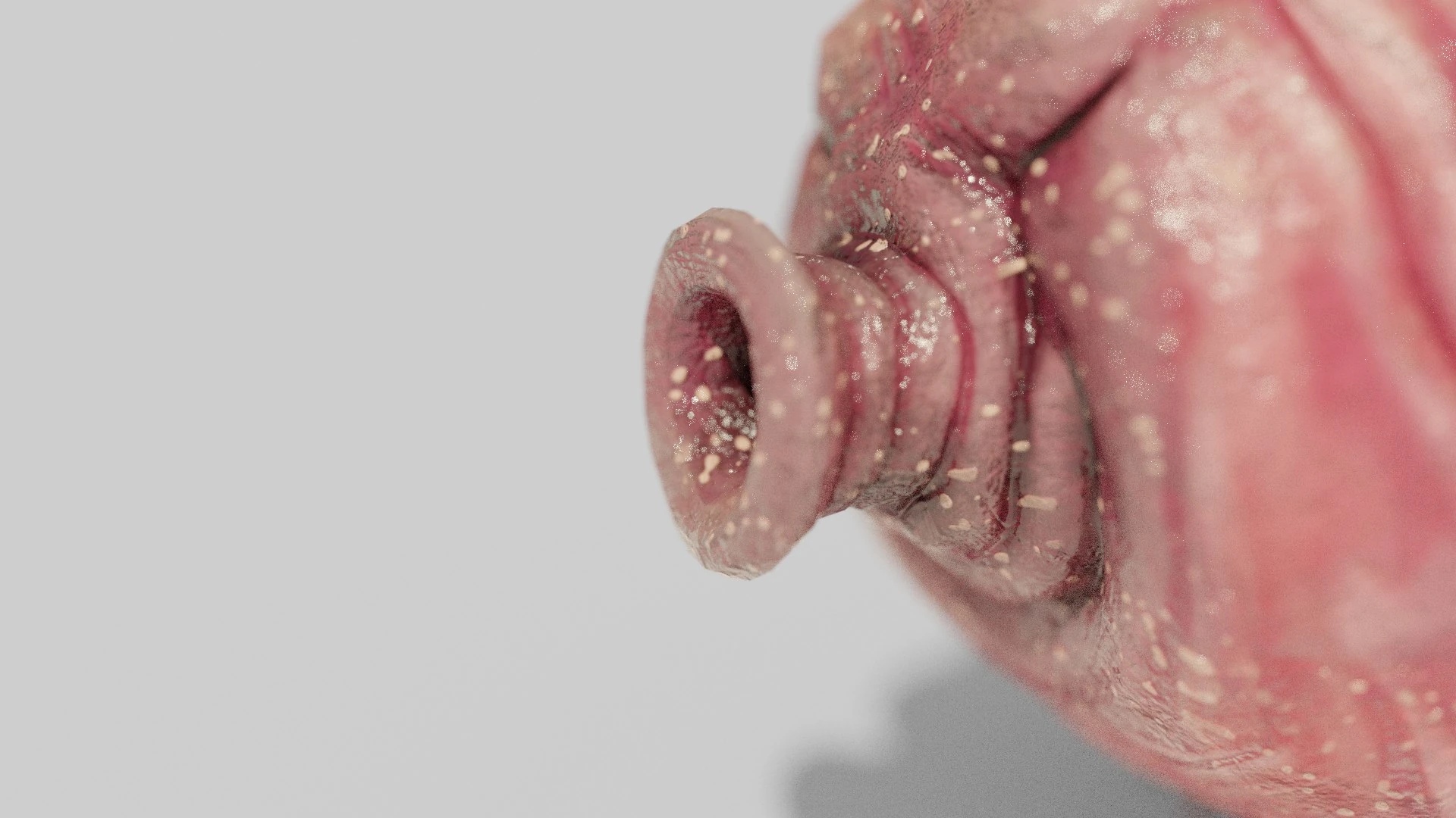 Frontal shot of Tardigrade waterbear creature highlighting mouth ring geometry and skin reflectivity