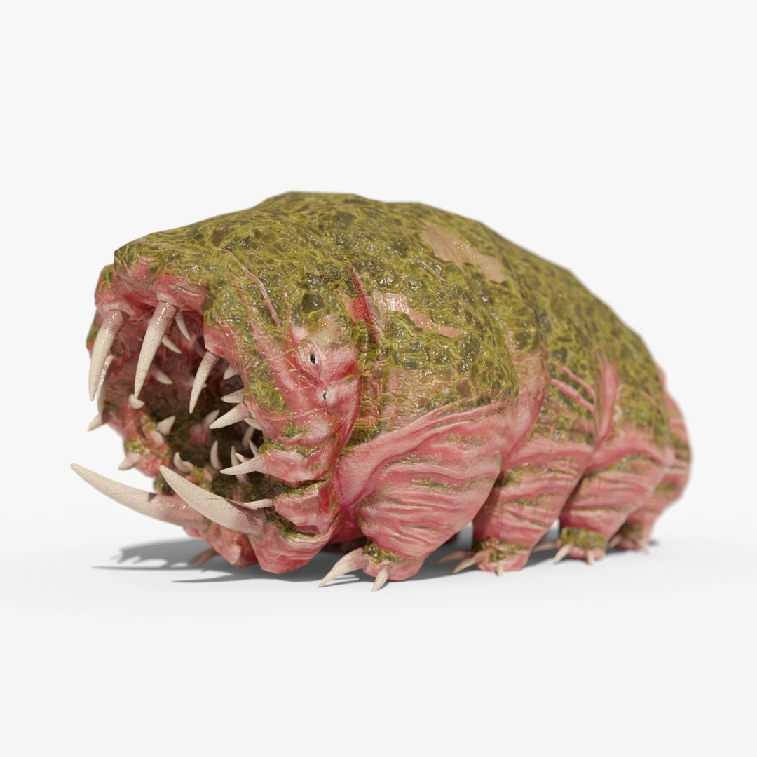 Tardigrade waterbear monster rendered in Blender Cycles, featuring tusks and pink textured skin.