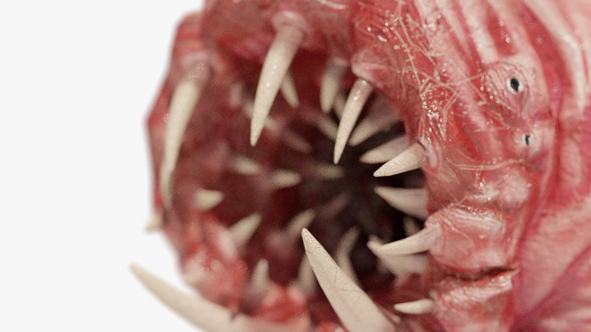 Waterbear Monster Mouth Close-Up – Rows of Needle Fangs and Glossy Organic Texture