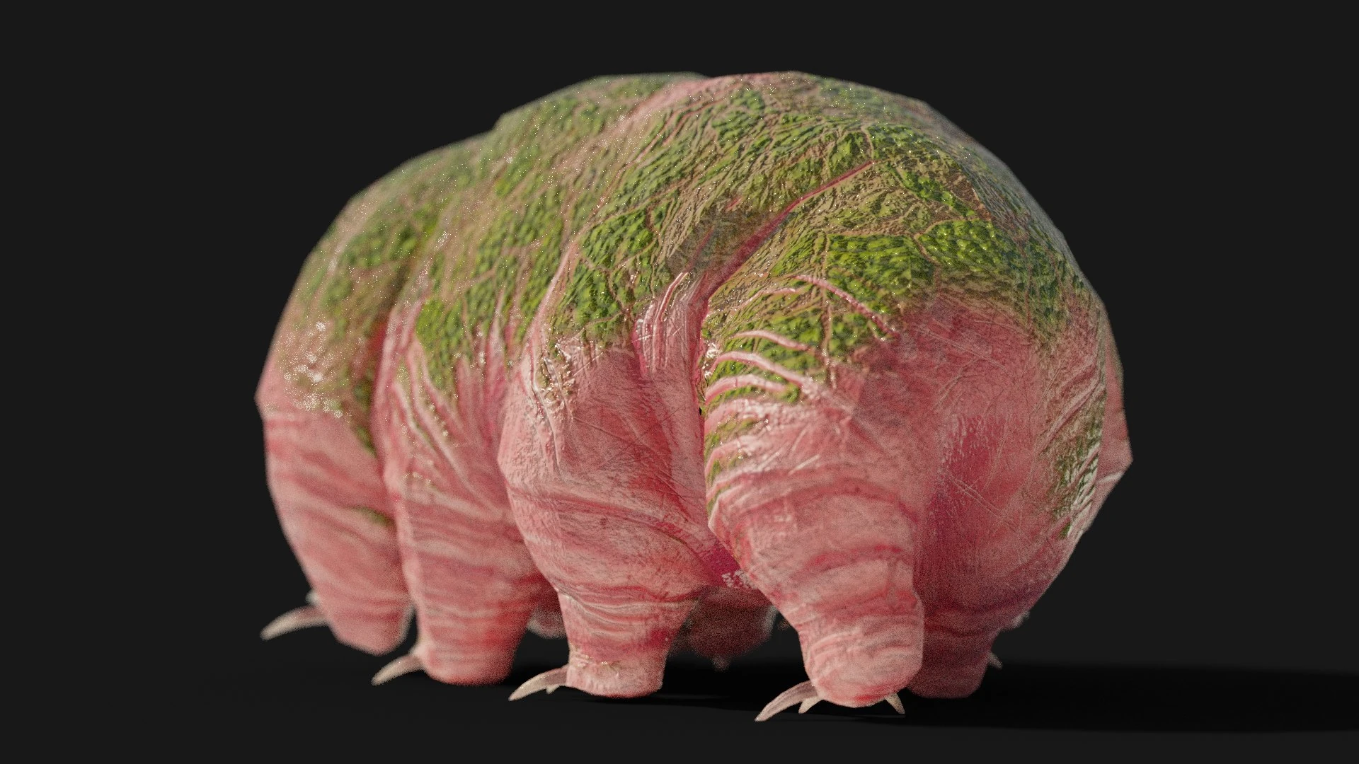 Waterbear Monster Rear View – Lichen Growth Detail on Segmented Body