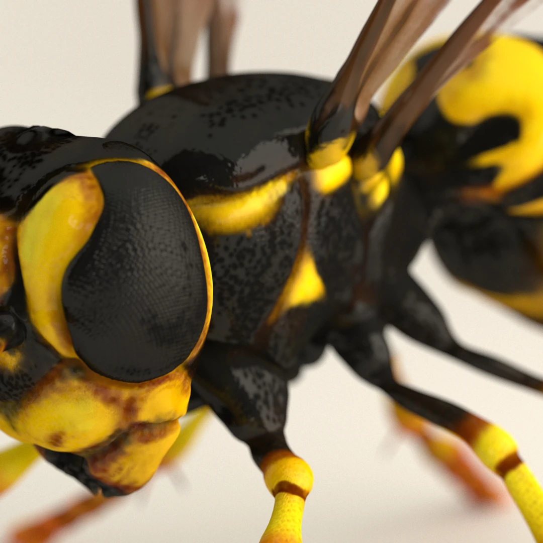 Wasp or Hornet High-Detail 3D Model by Leo Blanchette