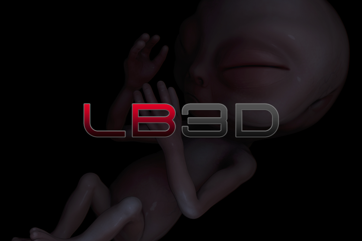 LB3D - Leo Blanchette 3d - Unity Asset Store