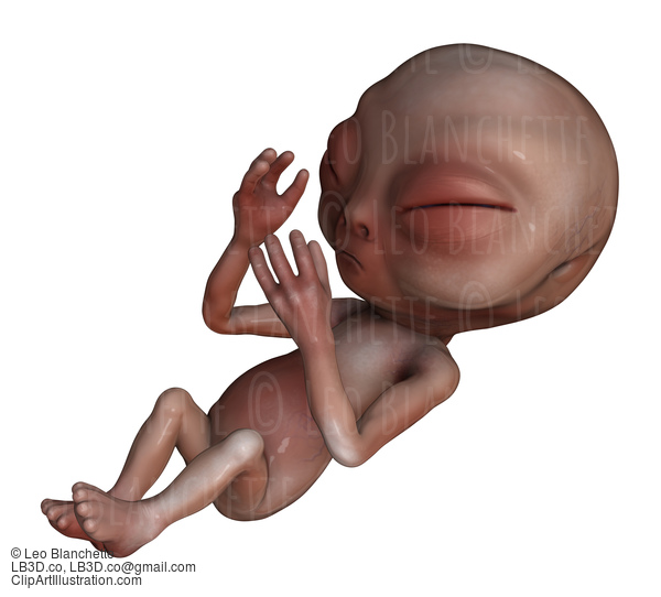 Alien Baby - Conspiracy Or Genetic Tampering Concept #50