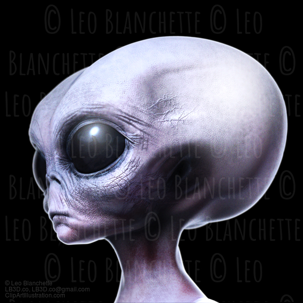 Grey Alien Portrait Side View Isolated On Black #38