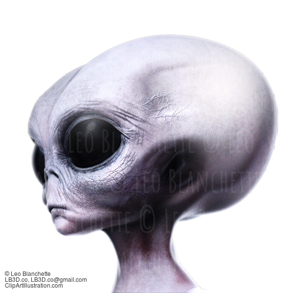 Grey Alien Portrait Side View On White #39