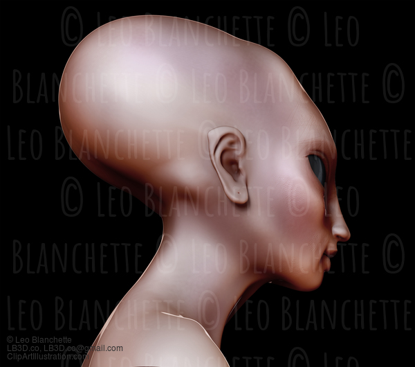 Hybrid Alien Woman Side View Elongated Skull #15