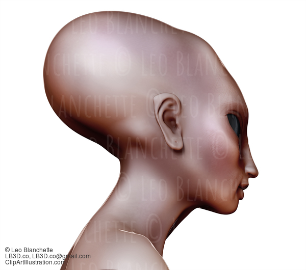 Hybrid Alien Woman Side View Elongated Skull On White #16