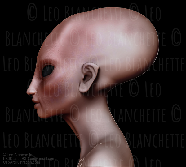 Hybrid Alien Woman Elongated Head / Skull Side View #19