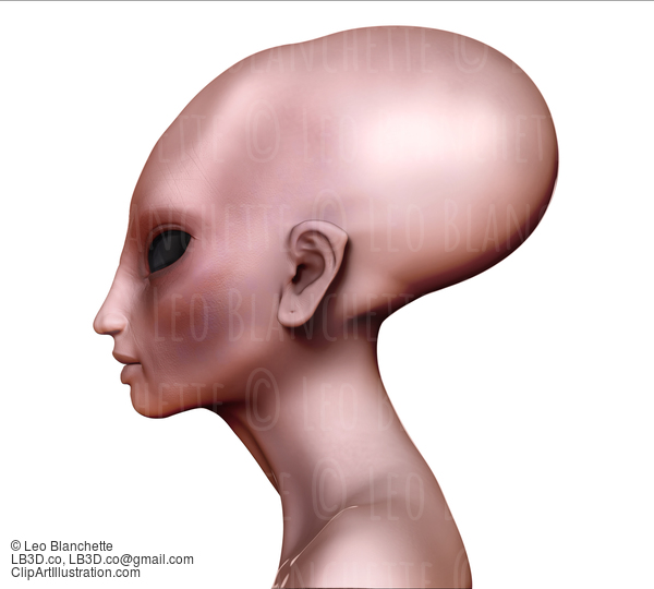 Hybrid Alien Woman Elongated Head / Skull Side View On White #20