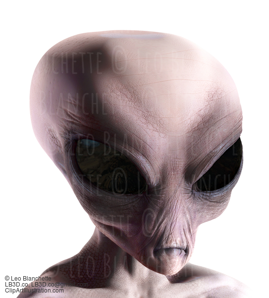 Grey Alien Portrait Sinister Expression #32