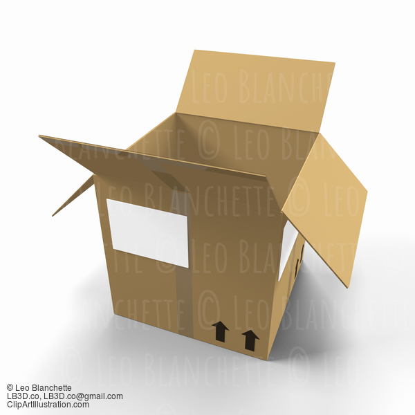 3D Cardboard Box #23258