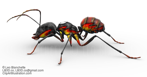 Painted Fire Ant Posed To Look Good #23283