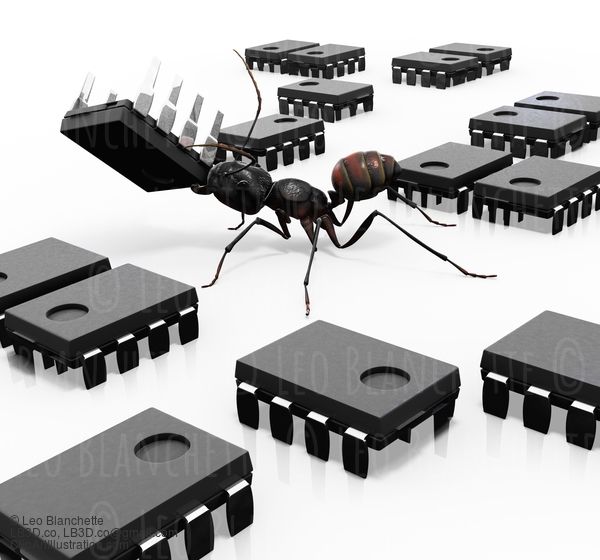 Ant Organizing Microchips #23285