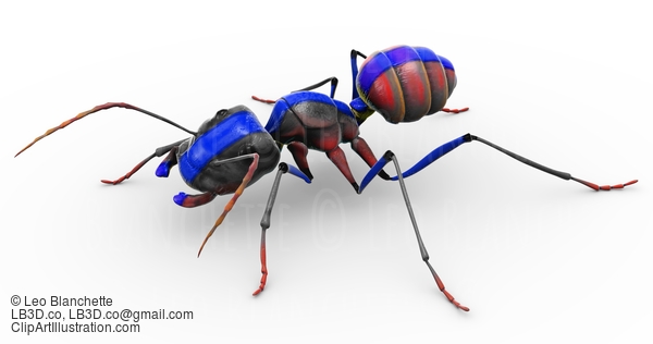 Painted Ant Looking Pretty #23291