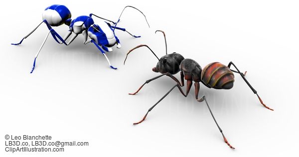 Ant Talking To Painted Blue Ant #23444