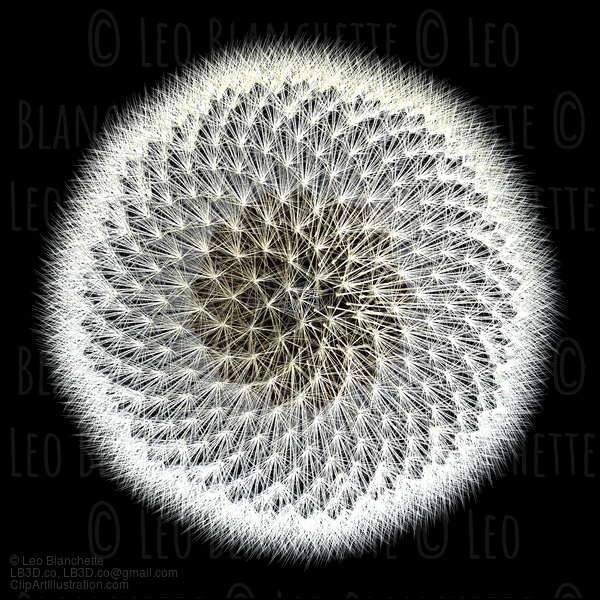 Dandelion Pattern 3D Generated, Top View With Black Background #23648