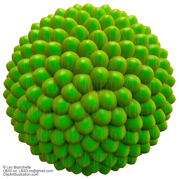 Green Seed Cluster, Basic Model, Fibonacci Sequence #23651