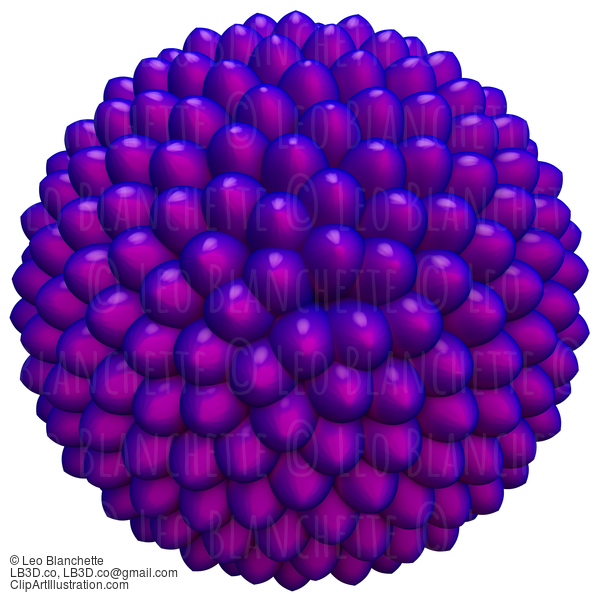 Abstract 3D Candy Design, Or Seed Arrangement. Fibonacci Sequence Golden Ratio Experiment. #23653