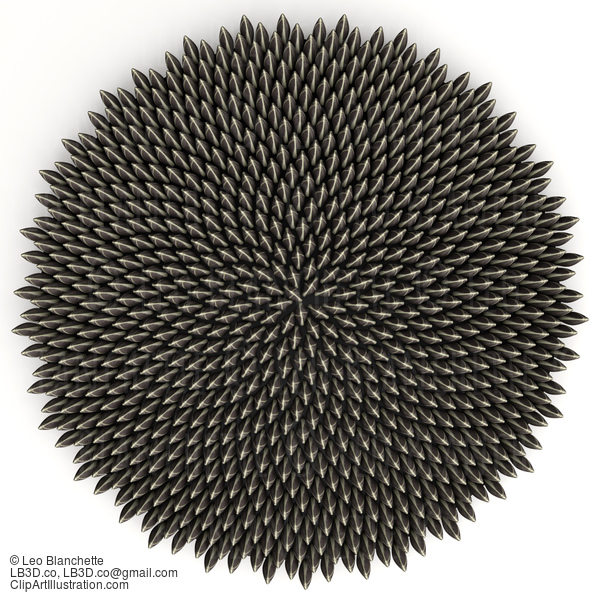 Clipart 3D Sunflower Seed Fibonacci Golden Ratio Circle - Royalty Free Cgi Illustration #23659