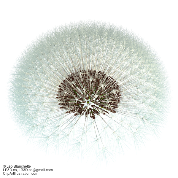 Dandelion Seeds, 3D Generated - Fibonacci Sequence Experiment #23664