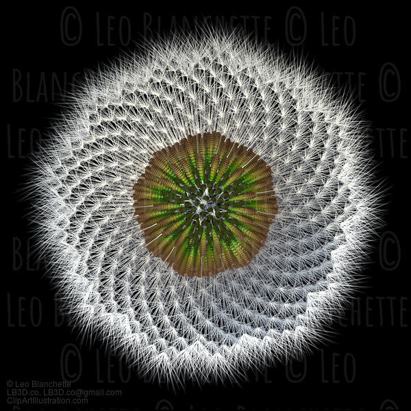 Dandelion Seeds Under View, 3D Generated #23667