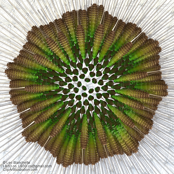 Dandelion Seeds, Viewed From Under. Close Up Macro, 3D Render. #23669