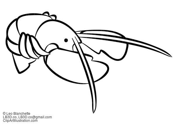 Line Drawing Of Lobster #23799